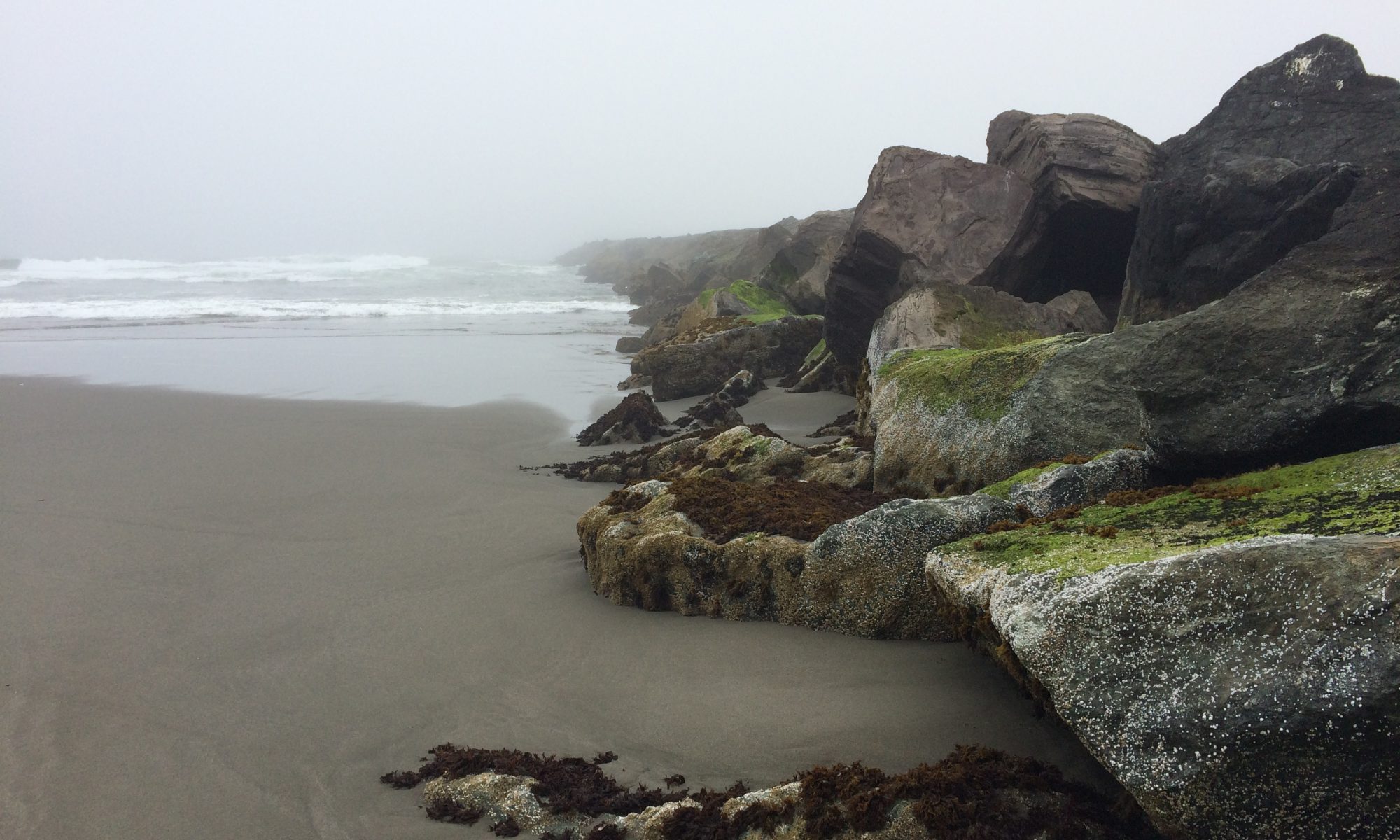 Humboldt Bay, California Fenley